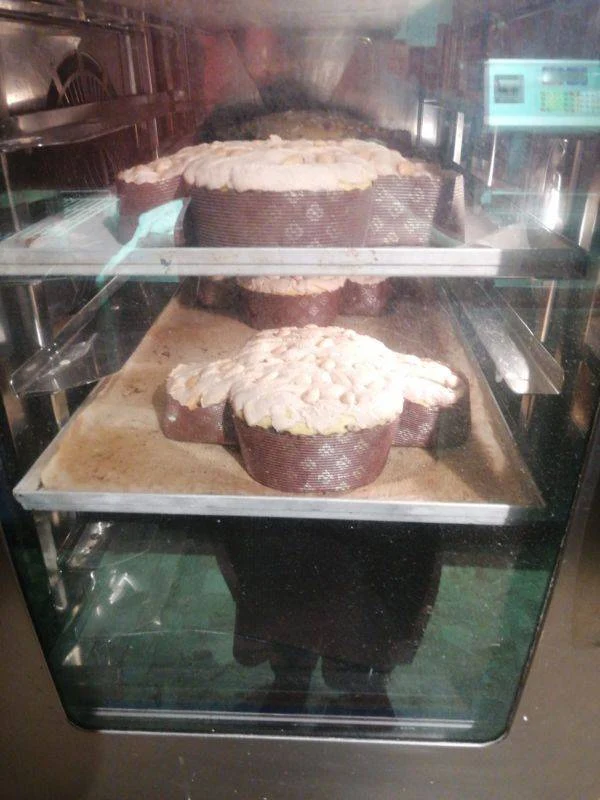 Colomba